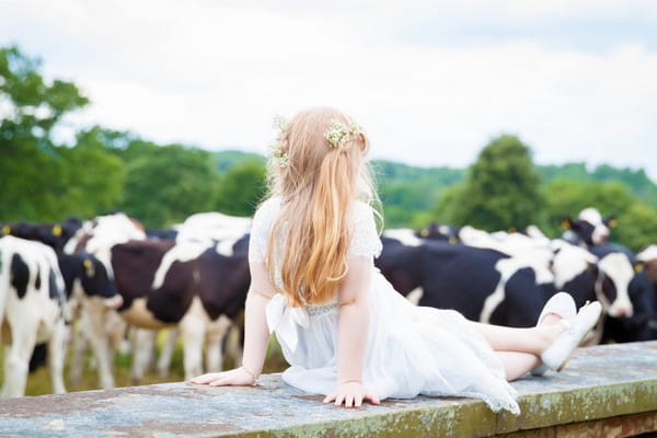 Flower girl sitting on wall looking at cows - Picture by Amanda Karen Photography