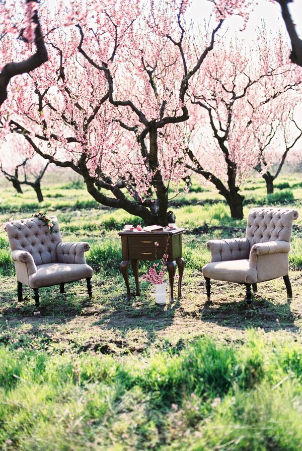 Wing back chairs and dresser in front of blossom covered trees