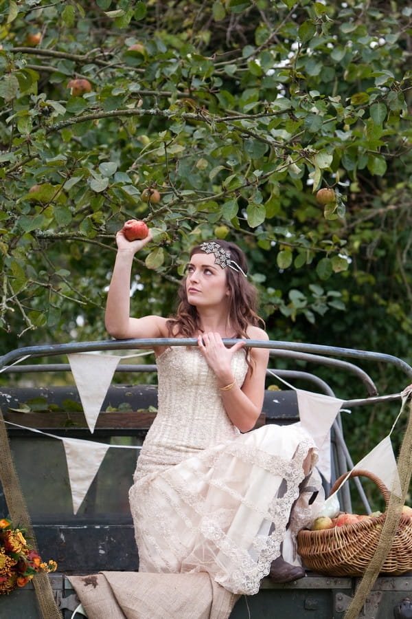 Bride picking apple from tree