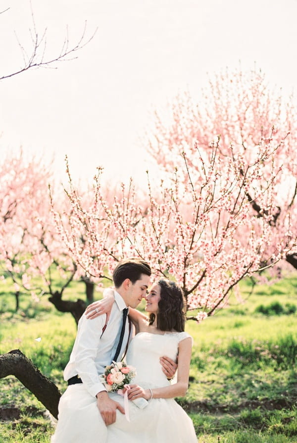 Bride and groom sitting in front of blossom covered tree