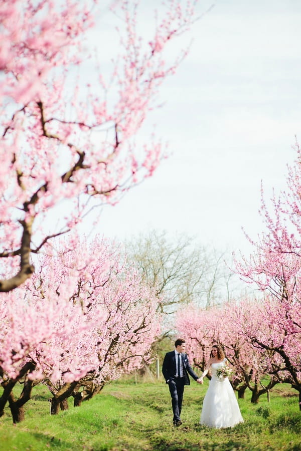 Bride and groom walking through blossom covered trees