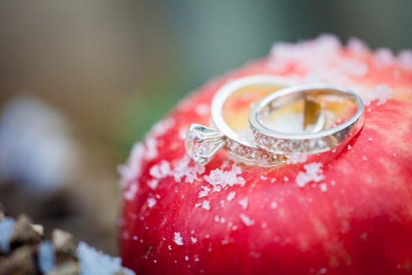 Wedding rings on apple - Picture by Amanda Karen Photography