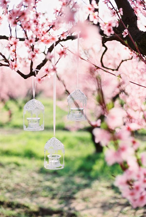 Small birdcage tea light holders hanging from tree covered in blossom