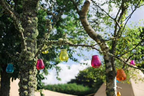 Coloured glass lanterns hanging in trees