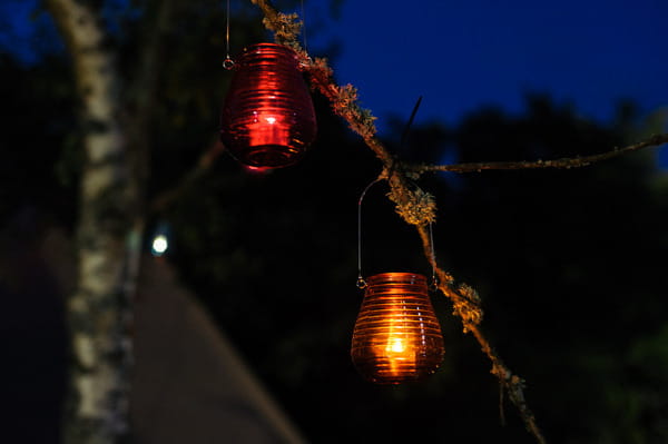 Glass lanterns in tree