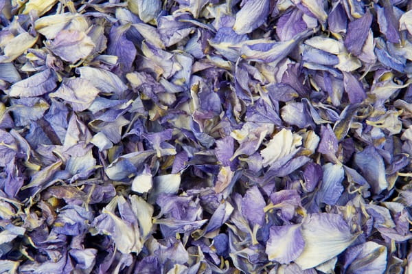 Frosted Blue Confetti from Shropshire Petals