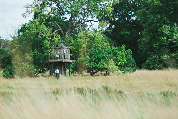 Treehouse at Narborough Hall Gardens