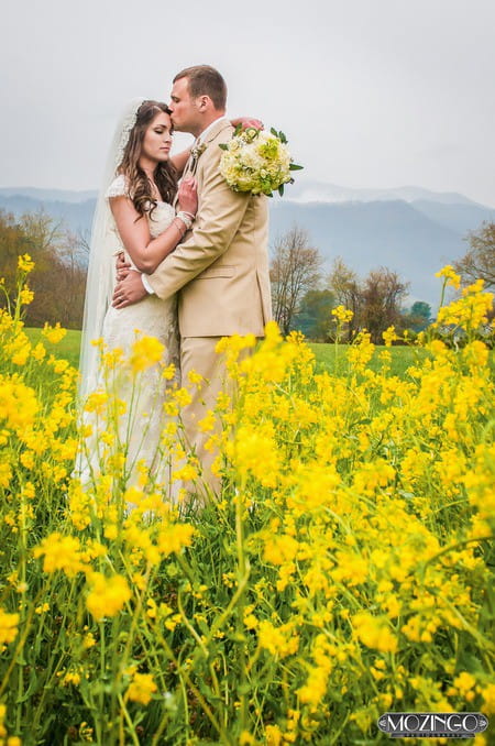 Groom kissing bride on head in field of yellow flowers - Picture by Mozingo Photography