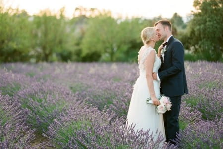 Bride and groom kissign in a field of lavender in Provence