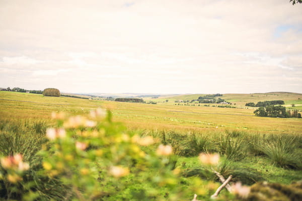 Northumberland countryside