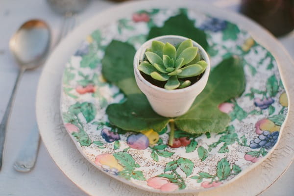 Succulent on wedding plate