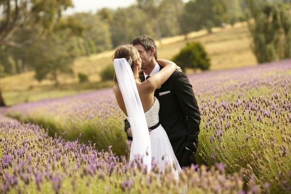 Bride and groom kissing in lavender field