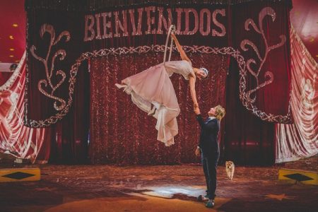 Bride on trapeze hoop above groom