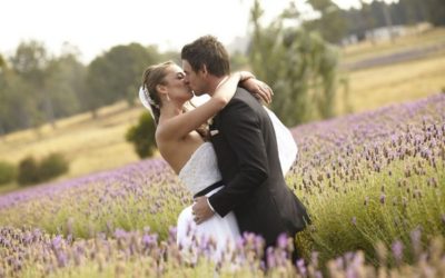 A Neutral, Natural and Vintage Wedding with Lavender Backdrop