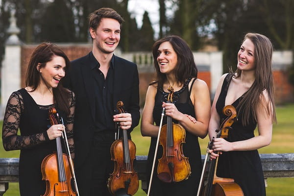 Oceano Strings, String Quartet