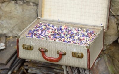 Five Fun Ways to Display Confetti