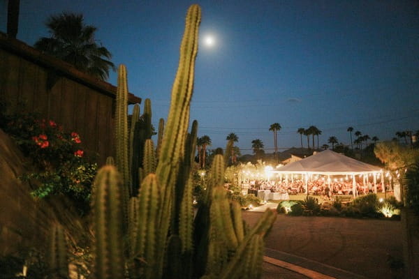 Wedding marquee at Colony 29