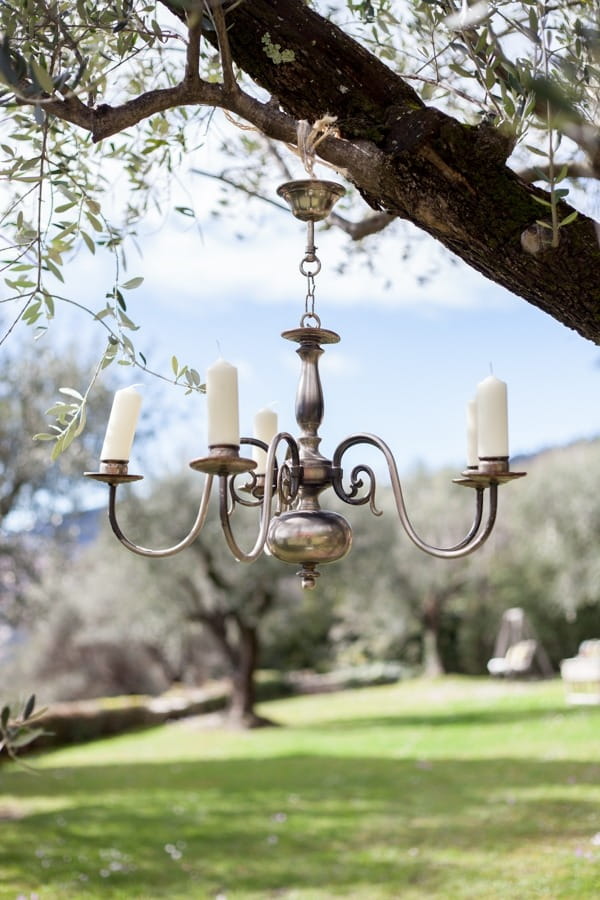 Chandelier hanging from tree