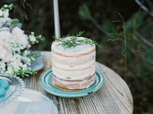 Naked winter wedding cake