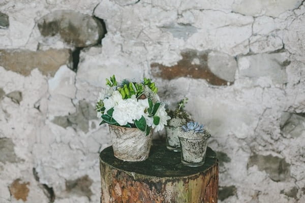 Pots of flowers and succulents on tree stump