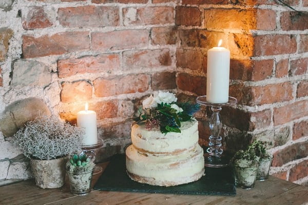 Naked winter wedding cake