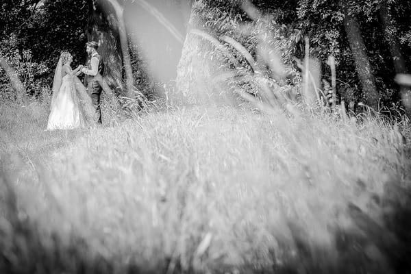 Picture of bride and groom taken through long grass