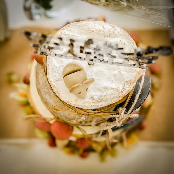 Cheese stack mouse cake topper