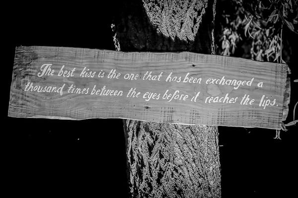 Kiss quote on tree