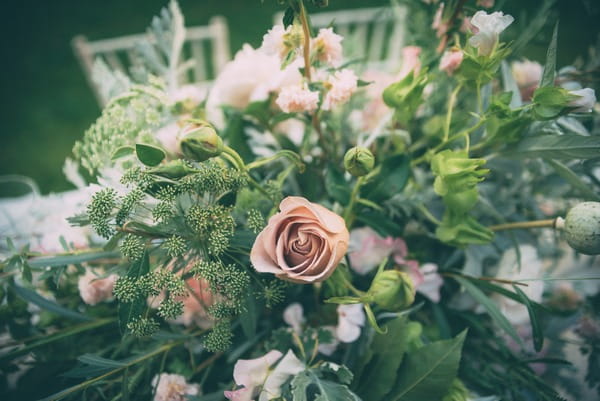 Blush rose with foliage
