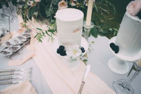 Which wedding cake with blackberries