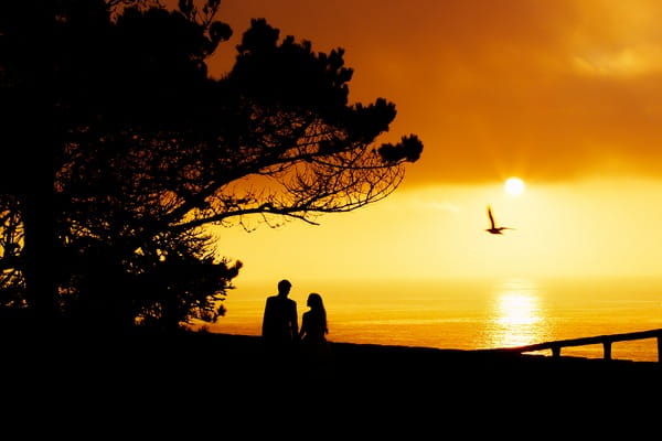 Silhouette of couple next to a tree with sun and sea in background - Picture by Robles Visuals