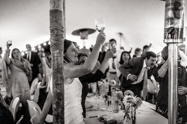 Wedding guests raising glasses for speech toast