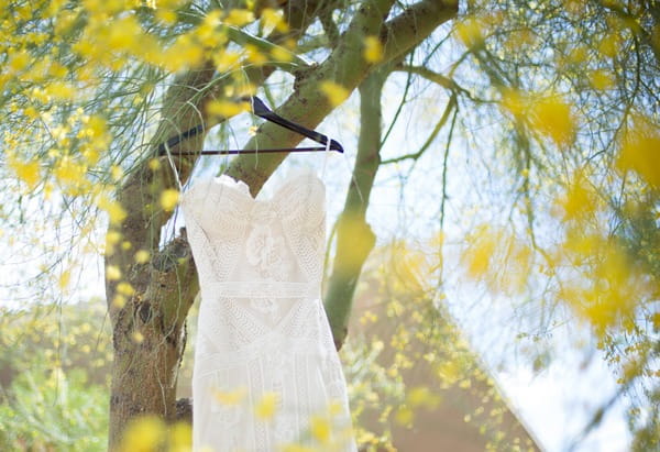 Wedding dress hanging from tree branch