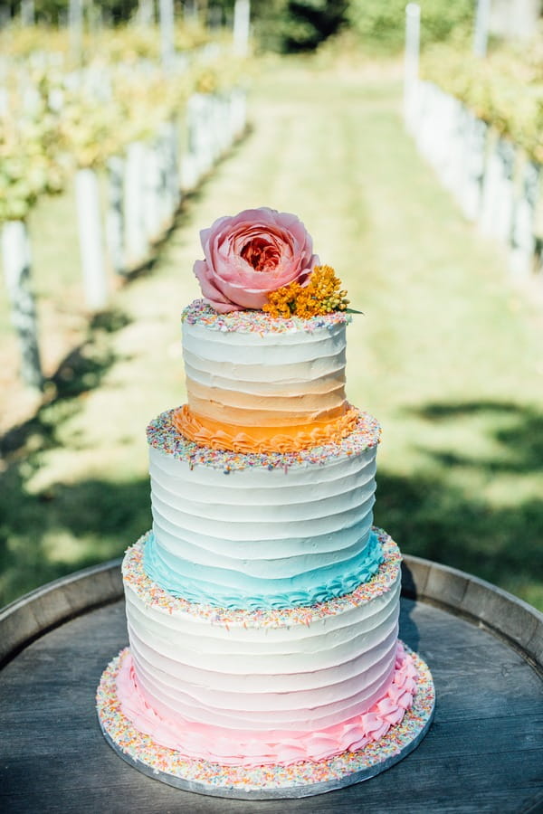 Colourful wedding cake