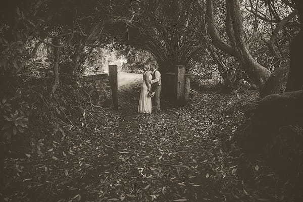 Bride and groom kissing by gate posts under trees - Picture by Tracey Warbey Photography