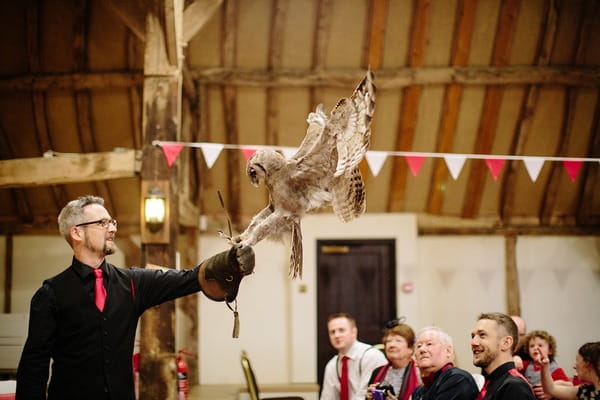 Owl delivering rings at wedding - Picture by Nisha Haq Photography