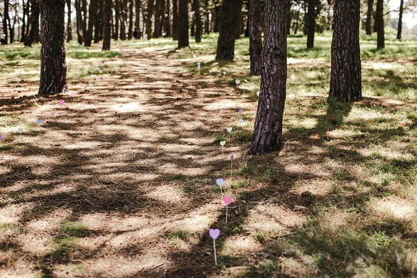 Row of hearts across grass