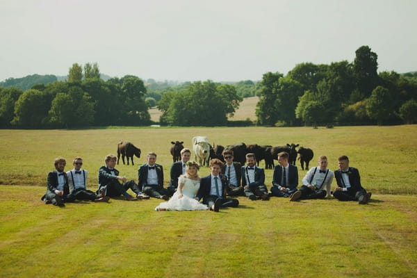 Bride and groomsmen sitting in field with cows behind