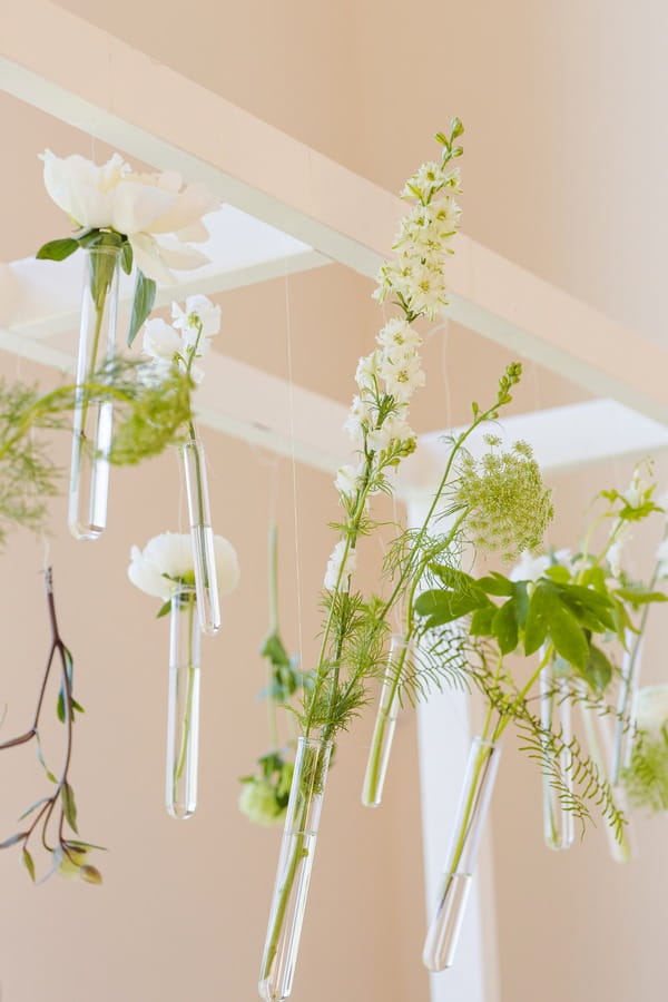 Flowers hanging in test tubes