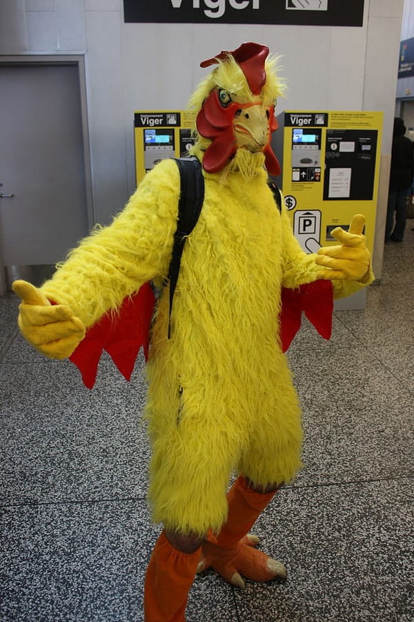 Someone wearing a chicken costume