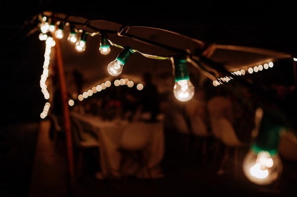 Festoon Lighting