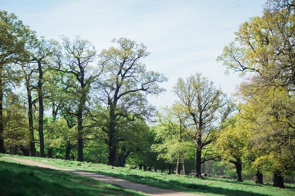 Richmond Park