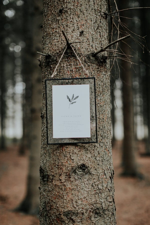 Frame hanging from tree in woods