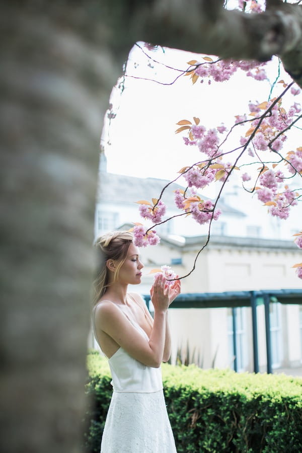 Bride holding tree branch