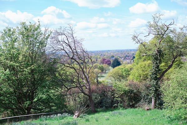 View from Pembroke Lodge