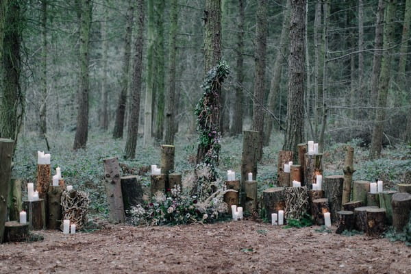 Candles on tree stumps in woods