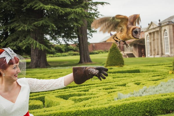 Owl flying off bride's hand