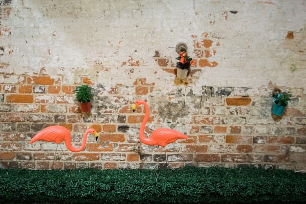 Plastic flamingos