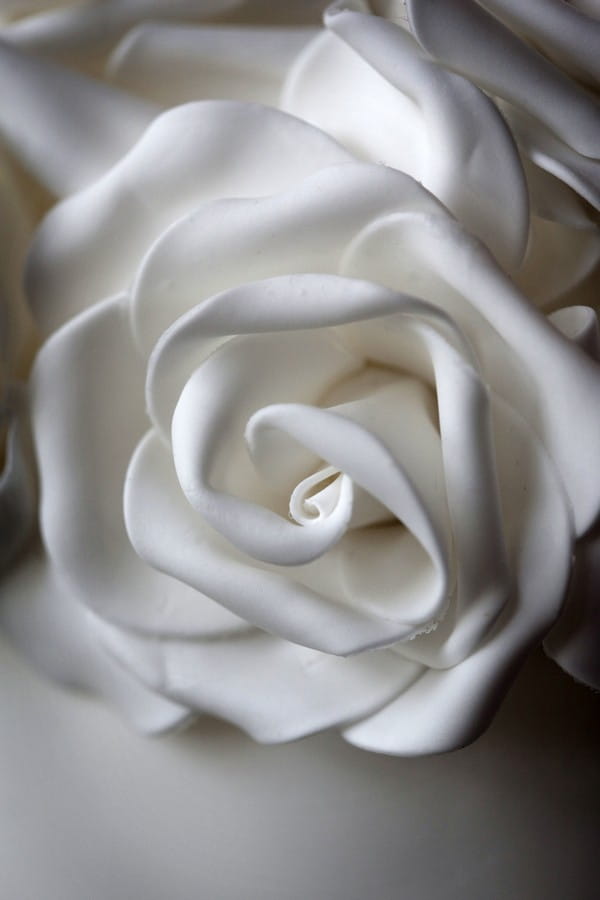 Close-Up of Sugar Rose