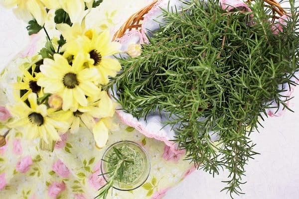 Floral Napkins Under Pot of Rosemary